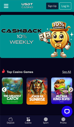 usdtcasino scr